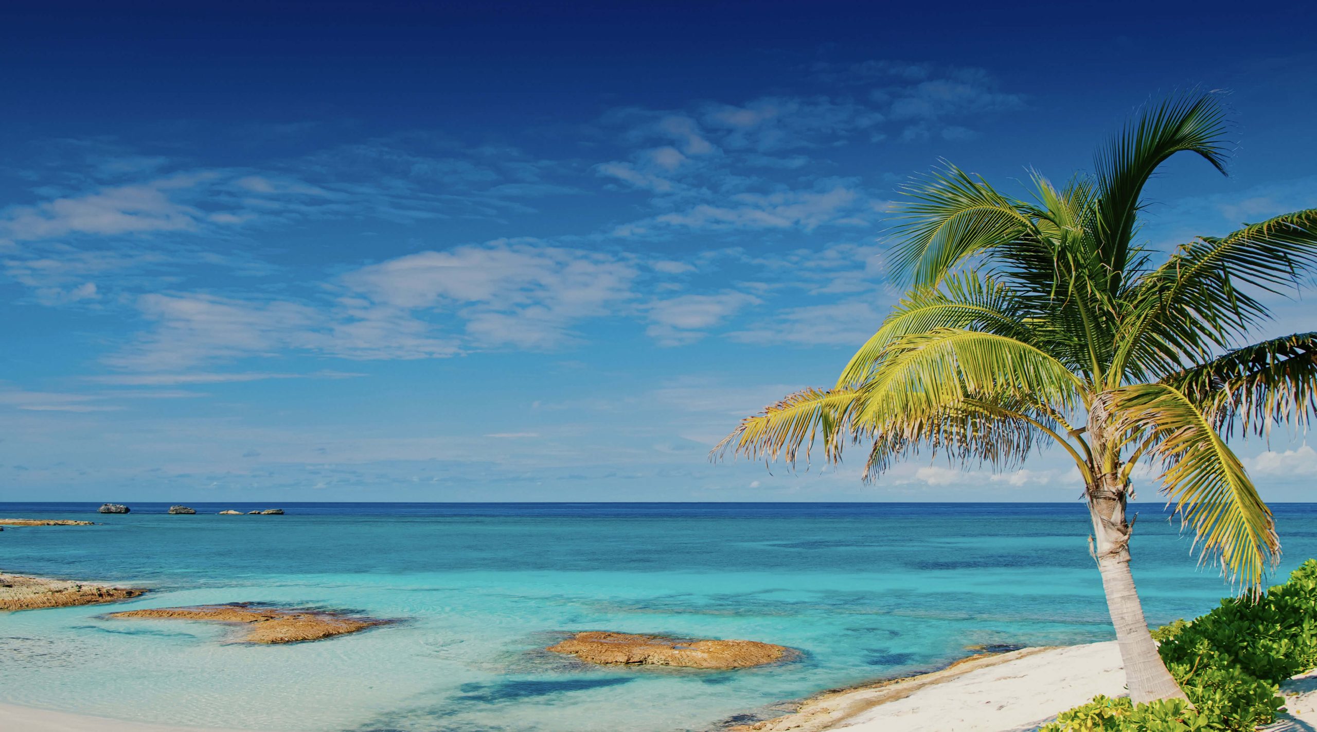Download the best VPN for the Bahamas in 2025