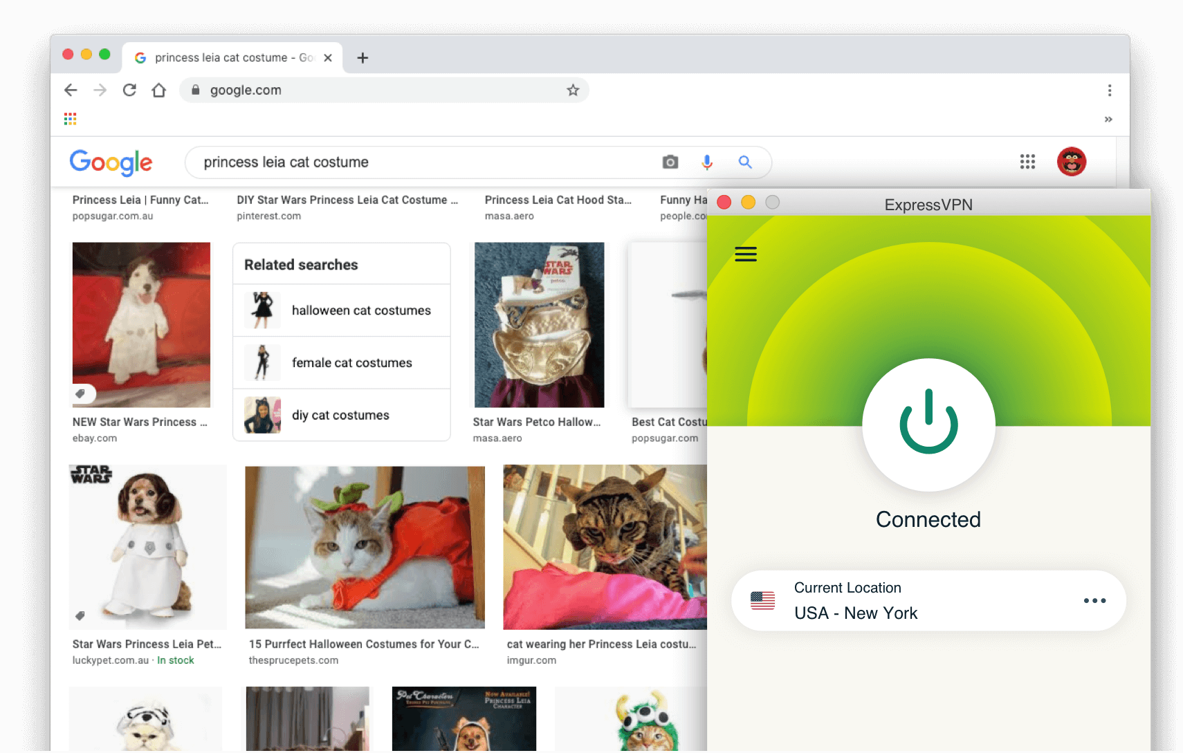 Google Suchergebnisse: Prinzessin Leia Katzenkostüm mit aktiviertem ExpressVPN.