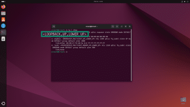 Linux Terminal showing the "ip l show" command.
