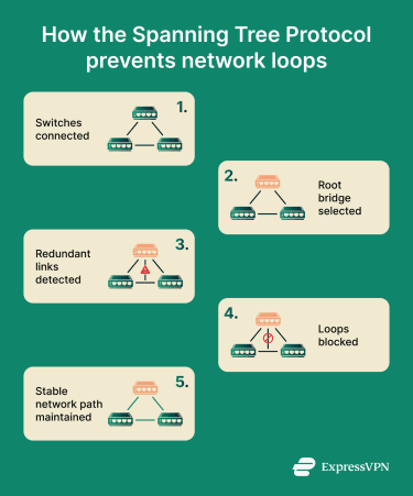 Simple visual depiction of what the Spanning Tree Protocol does.