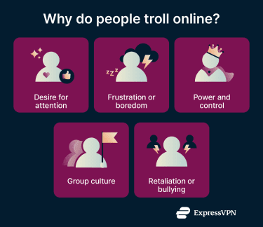 An overview of why peope troll on the internet